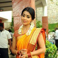 Shriya Cute Saree Stills at Pavithra Movie Press Meet | Picture 356188