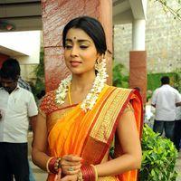 Shriya Cute Saree Stills at Pavithra Movie Press Meet | Picture 356189