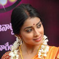 Shriya Cute Saree Stills at Pavithra Movie Press Meet | Picture 356104