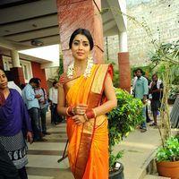 Shriya Cute Saree Stills at Pavithra Movie Press Meet | Picture 356197