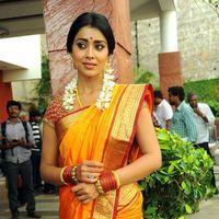 Shriya Cute Saree Stills at Pavithra Movie Press Meet | Picture 356199