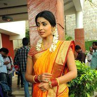Shriya Cute Saree Stills at Pavithra Movie Press Meet | Picture 356201