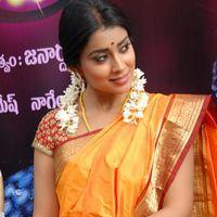 Shriya Cute Saree Stills at Pavithra Movie Press Meet | Picture 356120