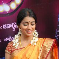 Shriya Cute Saree Stills at Pavithra Movie Press Meet | Picture 356133