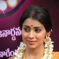 Shriya Cute Saree Stills at Pavithra Movie Press Meet | Picture 356135