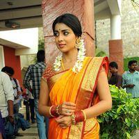 Shriya Cute Saree Stills at Pavithra Movie Press Meet | Picture 356205