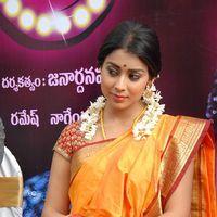 Shriya Cute Saree Stills at Pavithra Movie Press Meet | Picture 356137