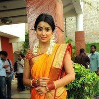Shriya Cute Saree Stills at Pavithra Movie Press Meet | Picture 356208