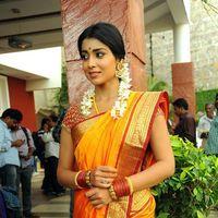 Shriya Cute Saree Stills at Pavithra Movie Press Meet | Picture 356210