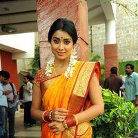 Shriya Cute Saree Stills at Pavithra Movie Press Meet | Picture 356219