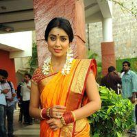 Shriya Cute Saree Stills at Pavithra Movie Press Meet | Picture 356220