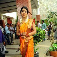 Shriya Cute Saree Stills at Pavithra Movie Press Meet | Picture 356222