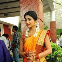 Shriya Cute Saree Stills at Pavithra Movie Press Meet | Picture 356227