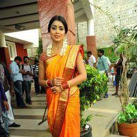 Shriya Cute Saree Stills at Pavithra Movie Press Meet | Picture 356234