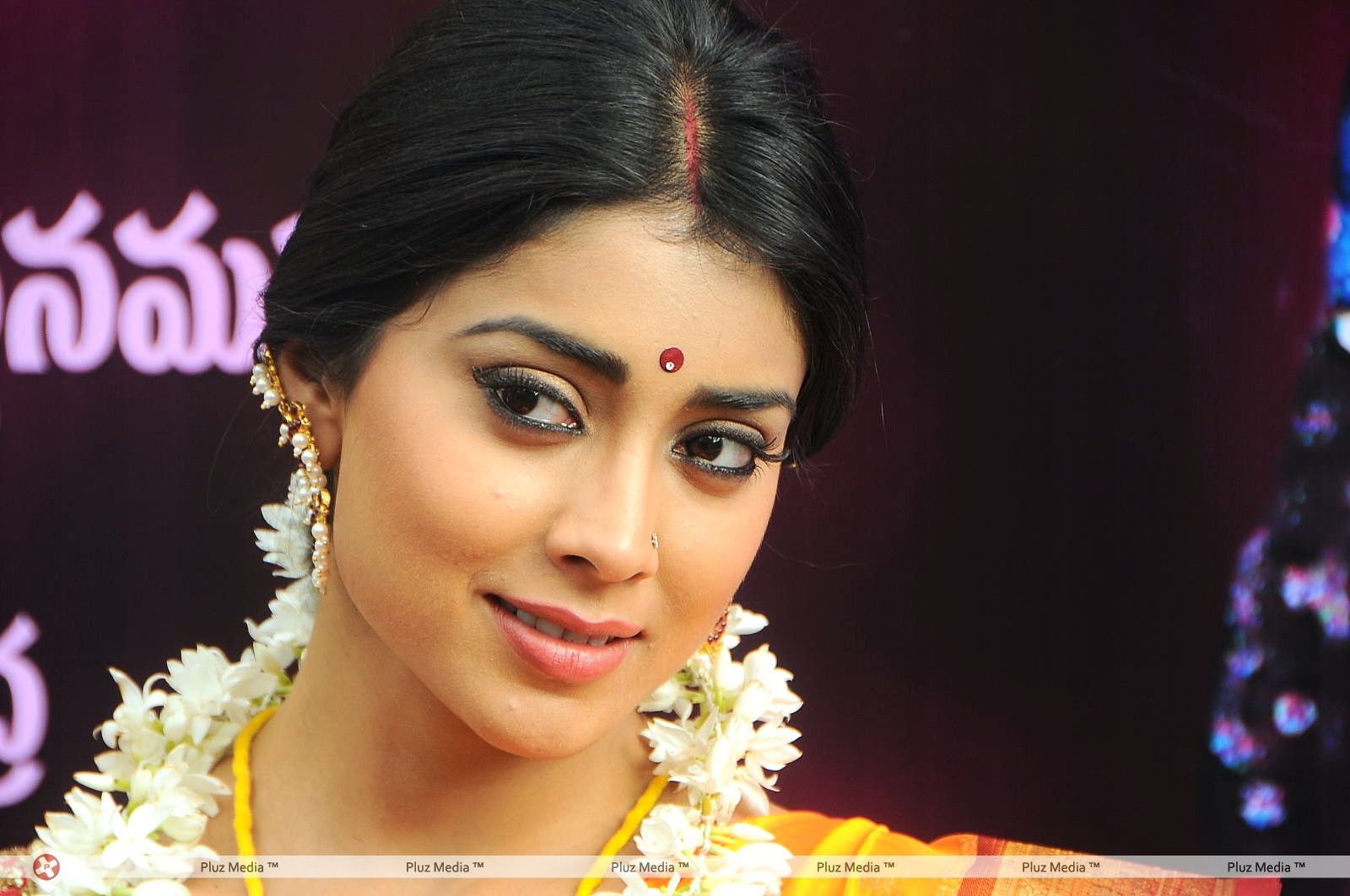 Shriya Cute Saree Stills at Pavithra Movie Press Meet | Picture 356076
