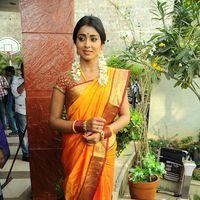 Shriya Cute Saree Stills at Pavithra Movie Press Meet | Picture 356078