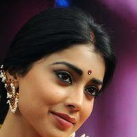 Shriya Cute Saree Stills at Pavithra Movie Press Meet | Picture 356081