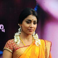 Shriya Cute Saree Stills at Pavithra Movie Press Meet | Picture 356082