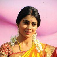 Shriya Cute Saree Stills at Pavithra Movie Press Meet | Picture 356084