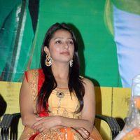 Bhoomika at April Fool Audio Launch Pictures | Picture 358971