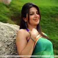 Bhumika Hot Saree Photos in April Fool Movie | Picture 360786