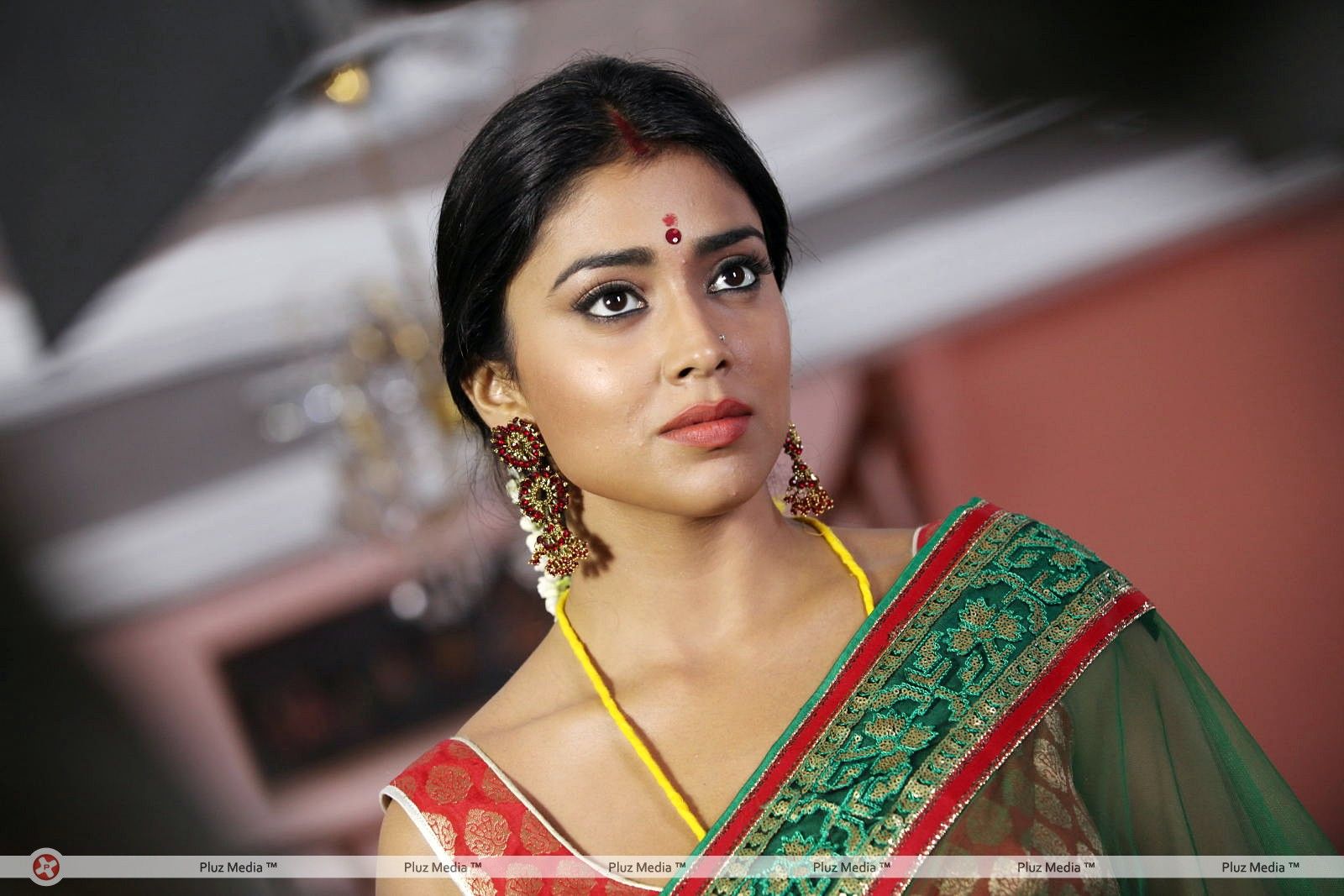 Shriya Saran - Pavitra Telugu Movie Stills | Picture 363524