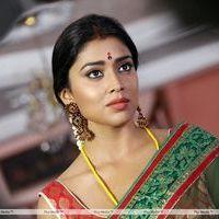 Shriya Saran - Pavitra Telugu Movie Stills | Picture 363524