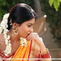 Shriya Saran - Pavitra Telugu Movie Stills | Picture 363539