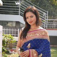 Sunita Rana Hot Saree Stills | Picture 364852