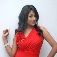Amitha Rao Hot Photos at Chemistry Audio Launch Function | Picture 365537