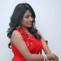Amitha Rao Hot Photos at Chemistry Audio Launch Function | Picture 365538
