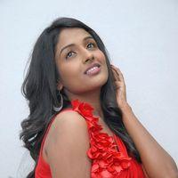Amitha Rao Hot Photos at Chemistry Audio Launch Function | Picture 365541