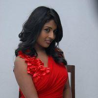 Amitha Rao Hot Photos at Chemistry Audio Launch Function | Picture 365551
