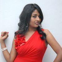 Amitha Rao Hot Photos at Chemistry Audio Launch Function | Picture 365552