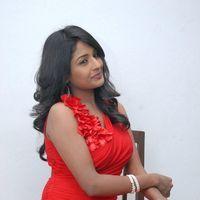 Amitha Rao Hot Photos at Chemistry Audio Launch Function | Picture 365553