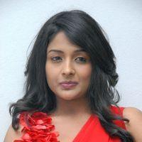Amitha Rao Hot Photos at Chemistry Audio Launch Function | Picture 365555