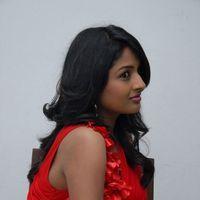 Amitha Rao Hot Photos at Chemistry Audio Launch Function | Picture 365558