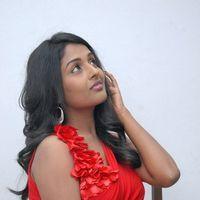 Amitha Rao Hot Photos at Chemistry Audio Launch Function | Picture 365568