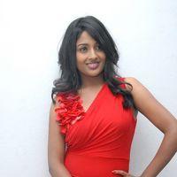 Amitha Rao Hot Photos at Chemistry Audio Launch Function | Picture 365569
