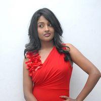 Amitha Rao Hot Photos at Chemistry Audio Launch Function | Picture 365577