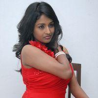 Amitha Rao Hot Photos at Chemistry Audio Launch Function | Picture 365583