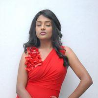 Amitha Rao Hot Photos at Chemistry Audio Launch Function | Picture 365584