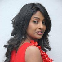 Amitha Rao Hot Photos at Chemistry Audio Launch Function | Picture 365585