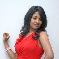Amitha Rao Hot Photos at Chemistry Audio Launch Function | Picture 365594