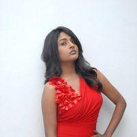 Amitha Rao Hot Photos at Chemistry Audio Launch Function | Picture 365598
