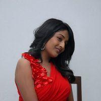 Amitha Rao Hot Photos at Chemistry Audio Launch Function | Picture 365614