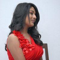 Amitha Rao Hot Photos at Chemistry Audio Launch Function | Picture 365615
