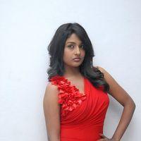 Amitha Rao Hot Photos at Chemistry Audio Launch Function | Picture 365621