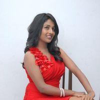 Amitha Rao Hot Photos at Chemistry Audio Launch Function | Picture 365622