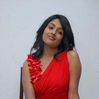 Amitha Rao Hot Photos at Chemistry Audio Launch Function | Picture 365623